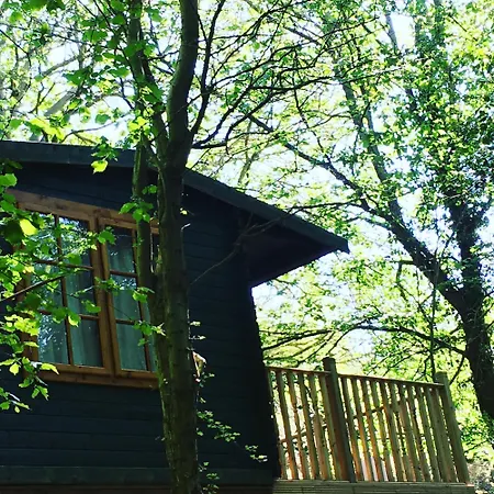Log Chalet